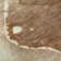 Berwin Washable Abstract Indoor / Outdoor Rug
