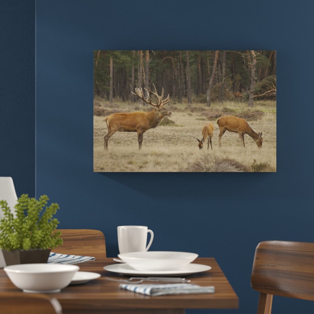 Leinwandbild „Hirschfamilie auf herbstlicher Waldlichtung" von martha de jong-lantink, Fotodruck