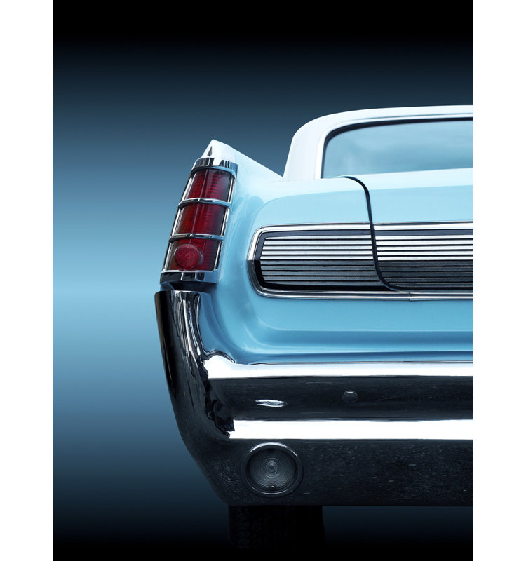 Wrapped Canvas Print, 91.44 cm H x 60.96 cm W