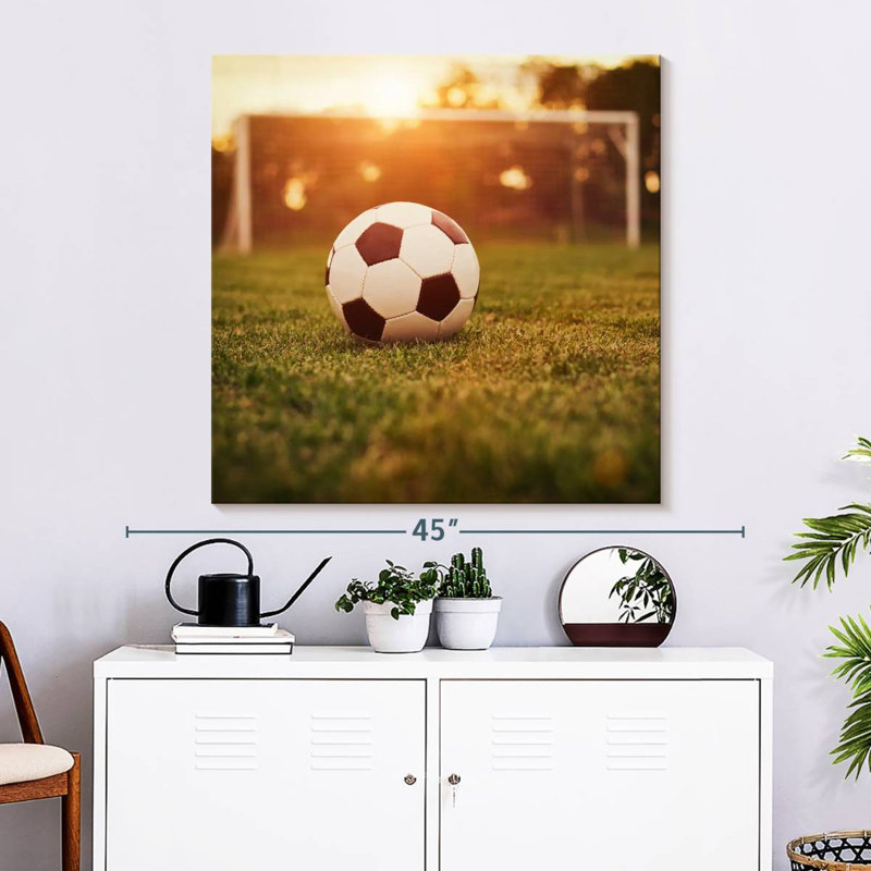 Ballon de soccer Sireci sur le terrain, H 33 po x l 33 po