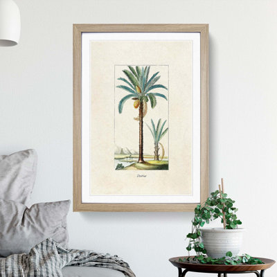 Illustration of a Date Palm Tree - Picture Frame Graphic Art Print on MDF