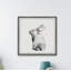 «Morehouse Furry Bunny», reproduction encadrée-1271557289