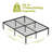 Weigel Platform Bed-1938222428