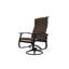 Belle Isle Outdoor Dining Chair-404339574-404339551