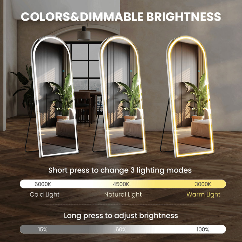 3 Color Lighting Mirror With LED Lights, Lighted Floor Standing Mirror With Stand, 70.02" x 25.53"