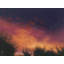 Sunset Print by KC Pollak-65852490-65826888-92903113