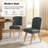 Jeremias 19"W Modern Upholstered Dining Chairs with Solid Wood Legs Set of 2-121081587