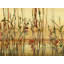 River Reeds I Painting-26931907-26931908