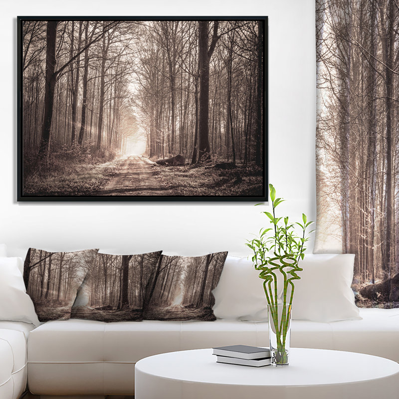 Paysage "Forest Trail in Sepia", reproduction de photo sur toile tendue encadrée, H 16 po x l 32 po x P 1 po
