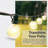 Asusena Outdoor 52 - Bulb 600'' Globe String Light