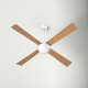 Ball 52'' 4 Blade Ceiling Fan with LED Light Kit