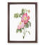 French Rose in Pink by Pierre-Joseph Redoute - Picture Frame Painting Print-55577824-55577825