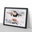 Atlantic Puffin - Framed Print-55456750-55456755