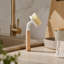 Poignée de bois en sisal naturel avec brosse en PV et brosse de cuisine en poils de sisal naturels
