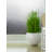 Graphics Window Decal