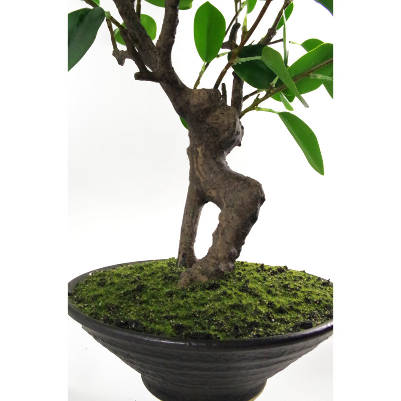 Anivea 40cm Faux Bonsai Tree in Pot