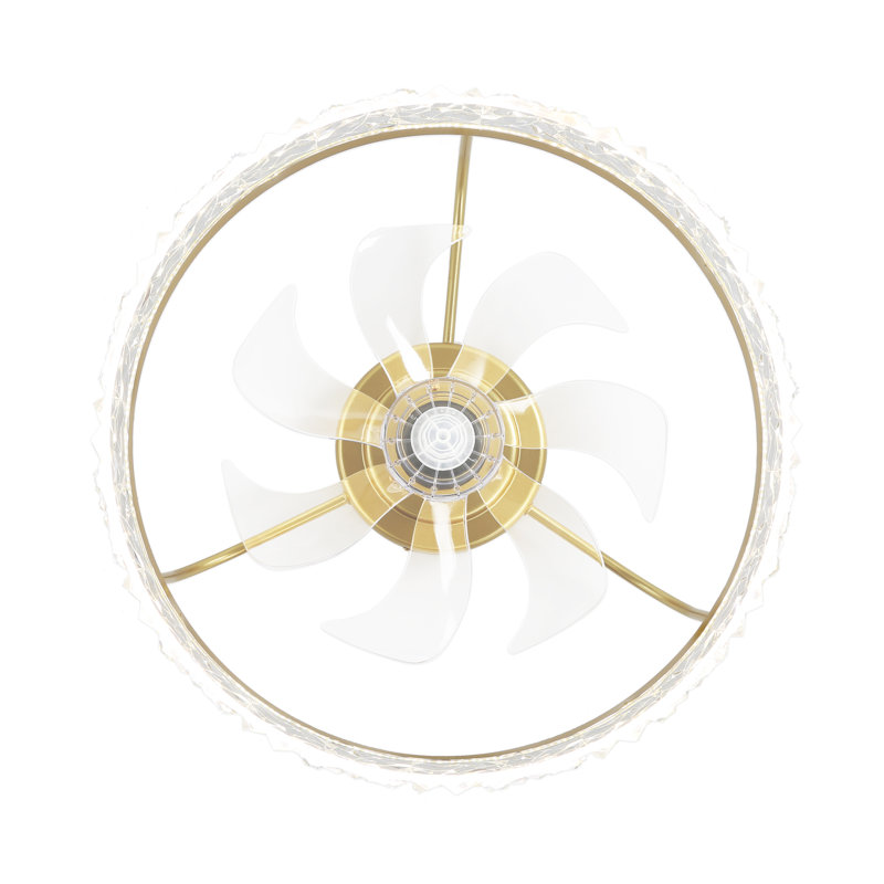 Jacia 20'' Ceiling Fan with LED Lights