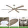 Mentor Ceiling Fan with LED Lights