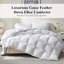 Édredon de duvet d'oie en duvet synthétique grand format toutes saisons avec housse de couette moelleuse luxueuse pour lit d'édredon Housse de couette 100% coton ultra douce