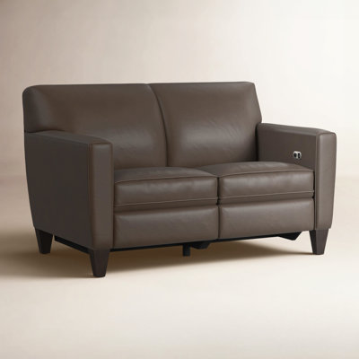 Osmin 56" Genuine Leather Reclining Loveseat
