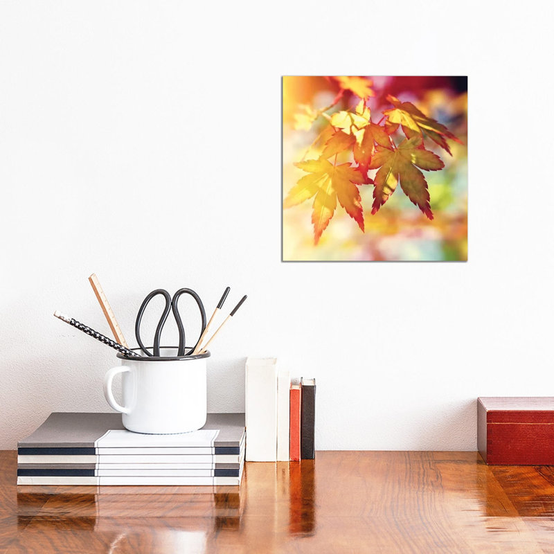 Autumn Sunshine - Wrapped Canvas Print, 30.48 cm H x 30.48 cm W