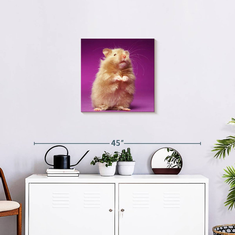 Ketti Fluffy Hamster, 20" H x 20" W