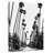 Sireci Black California Palm Trees Road-106961967