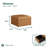 Halsey Storage Ottoman Carmel-1040040485