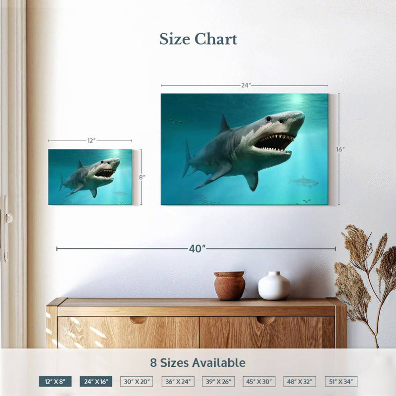 Requin mégalodon éteint, 16" H x 24" W