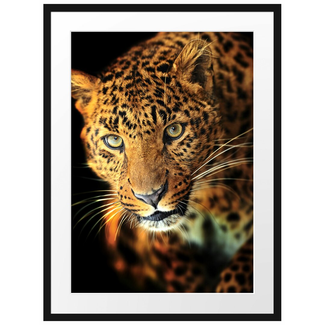 Anmutiger Leopard Gerahmter Kunstdruck Poster