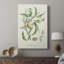 Amande antique botanique IV - galerie Cavas sur mesure-1081455232