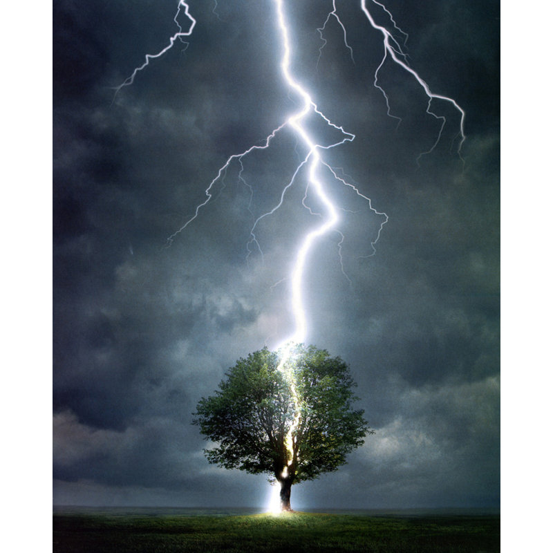 Lightning, 18" H x 15" W