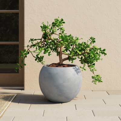 Dorlis 21" Pot Planter