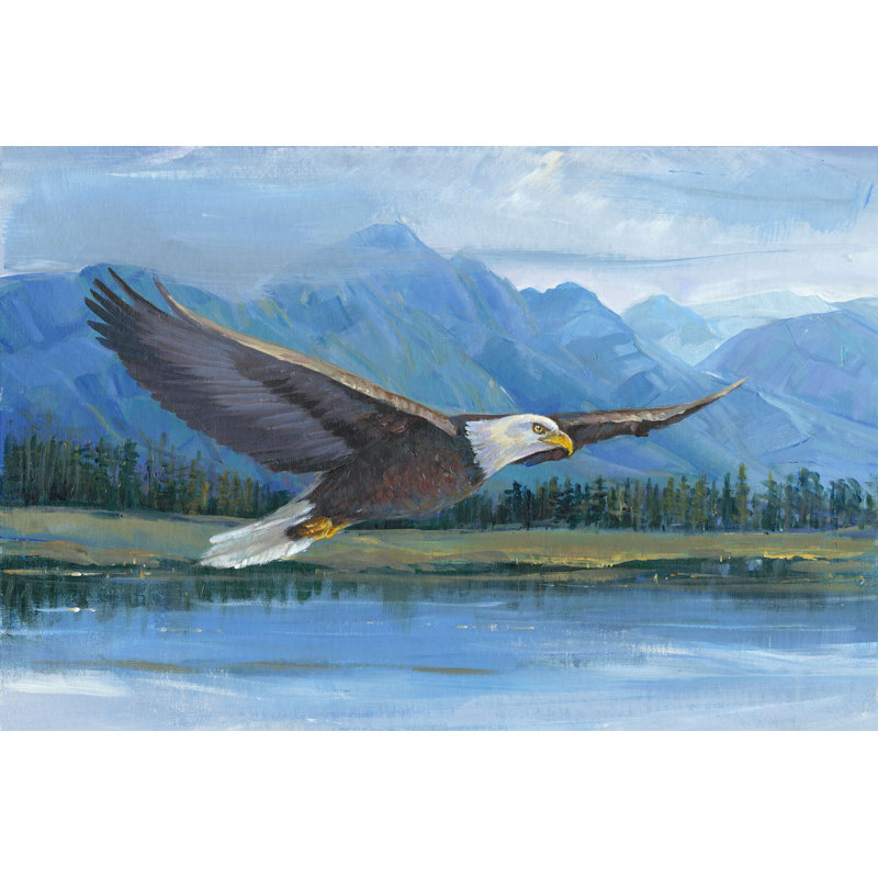 " Eagle Soaring " by Timothy O' Toole Painting Print, 12" H x 18" W