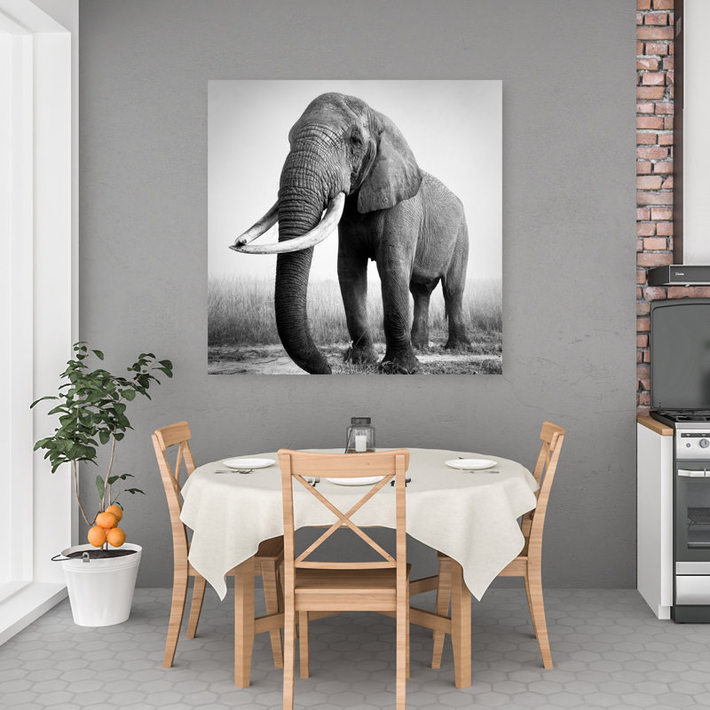Art mural contemporain majestueux éléphant d'Afrique, 48" H x 48" W