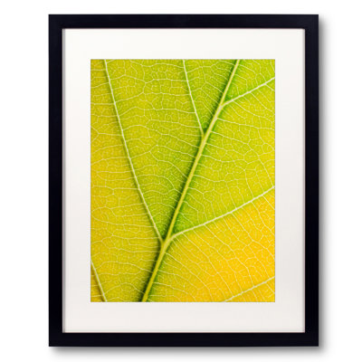Autumn Leaf by Philippe Monthoux