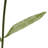 Giant Artificial Flowers With Stems And Base-578132143