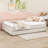 Bruster Upholstered Platform Bed with Twin Size Trundle-1006649725