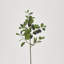 Faux Ficus Branch