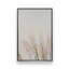 Impression sur toile Pampas Whisper-1587452715-1587452727