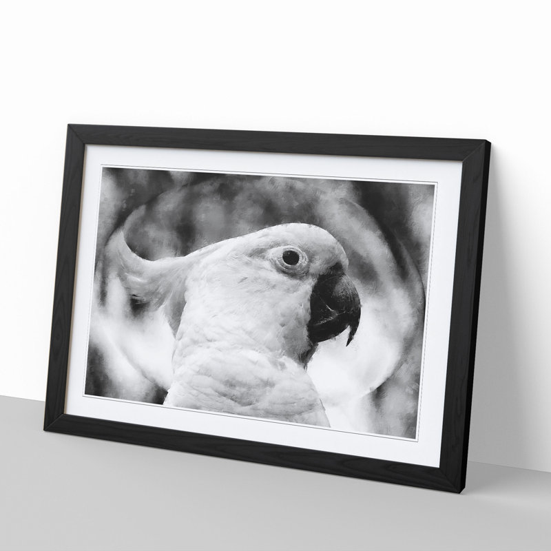 Cockatoo Bird Vol.2 - Picture Frame Graphic Art, Black Framed, 36cm H x 48cm W x 2cm D