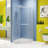 Pivot Shower Door