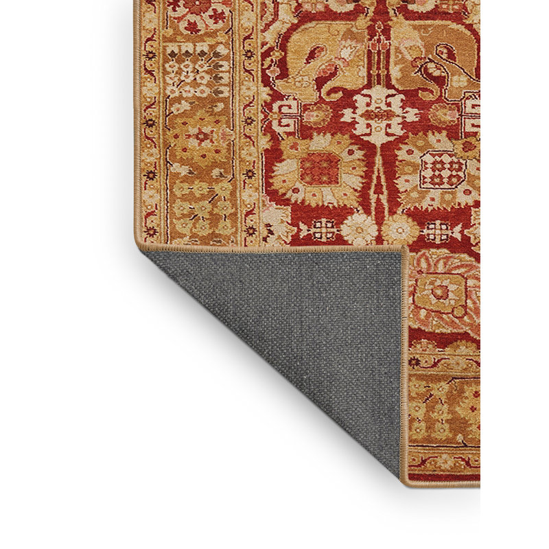 Tapis oriental rouge / brun clair Peekskill, Rectangle 7 pi x 10 pi