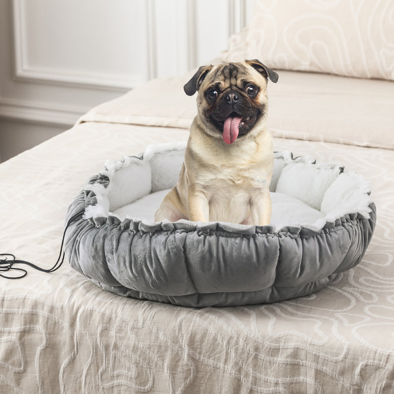Lit pour animaux, H 2,75 po x l 22,05 po x P 22 po