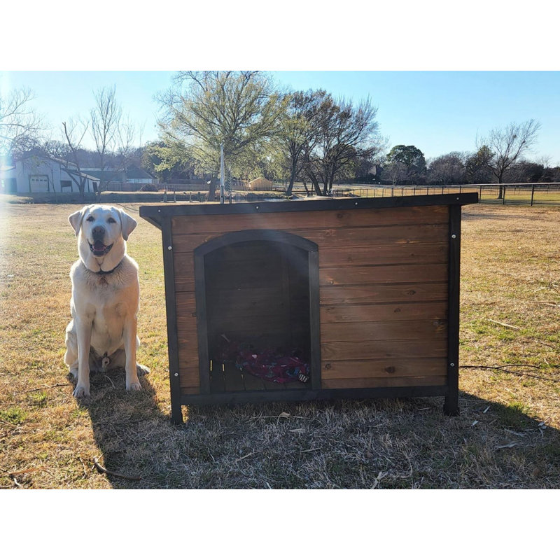 Niche en bois pour chien