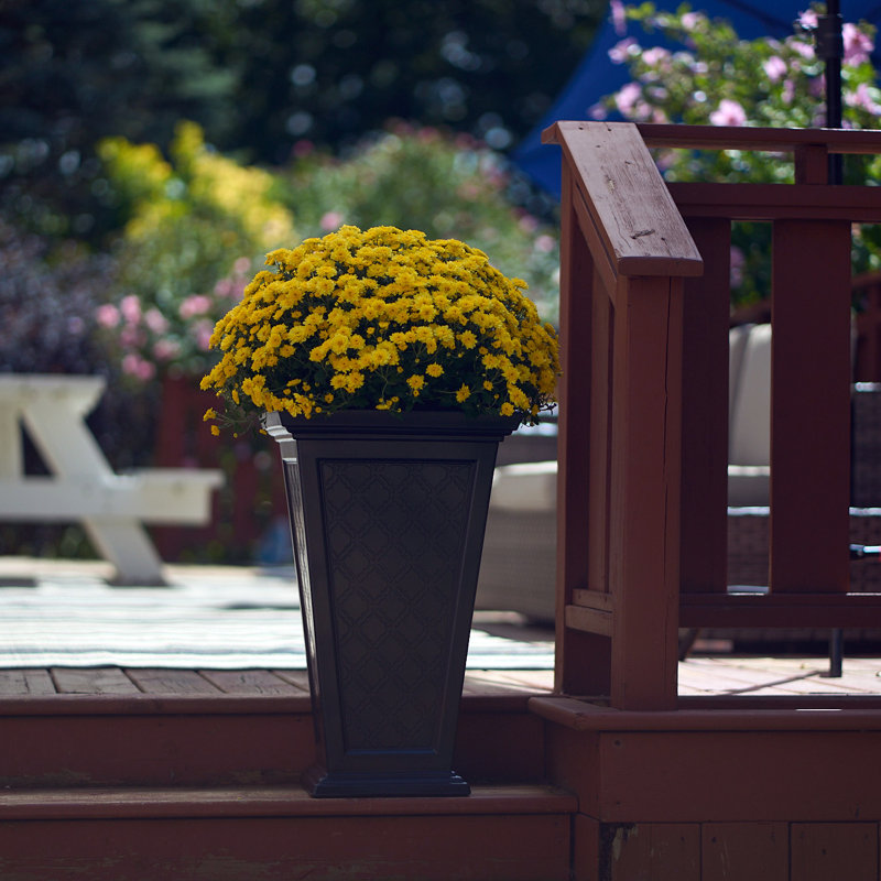 Aaliyah Self-Watering Pot Planter