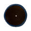 CREST PLANT, NEIGE-1178832790-1178832814