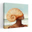 Coastal Shell Beauty Elegant Coastal Wall Art Print 1 Piece Wrapped Canvas Wall Art-372147318