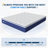 Avenco 12'' Medium Soft Memory Foam Hybrid Mattress-208658116