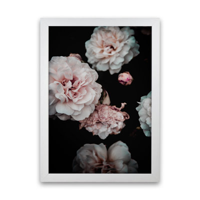 Crisp Pink by Victoria Frost - Print